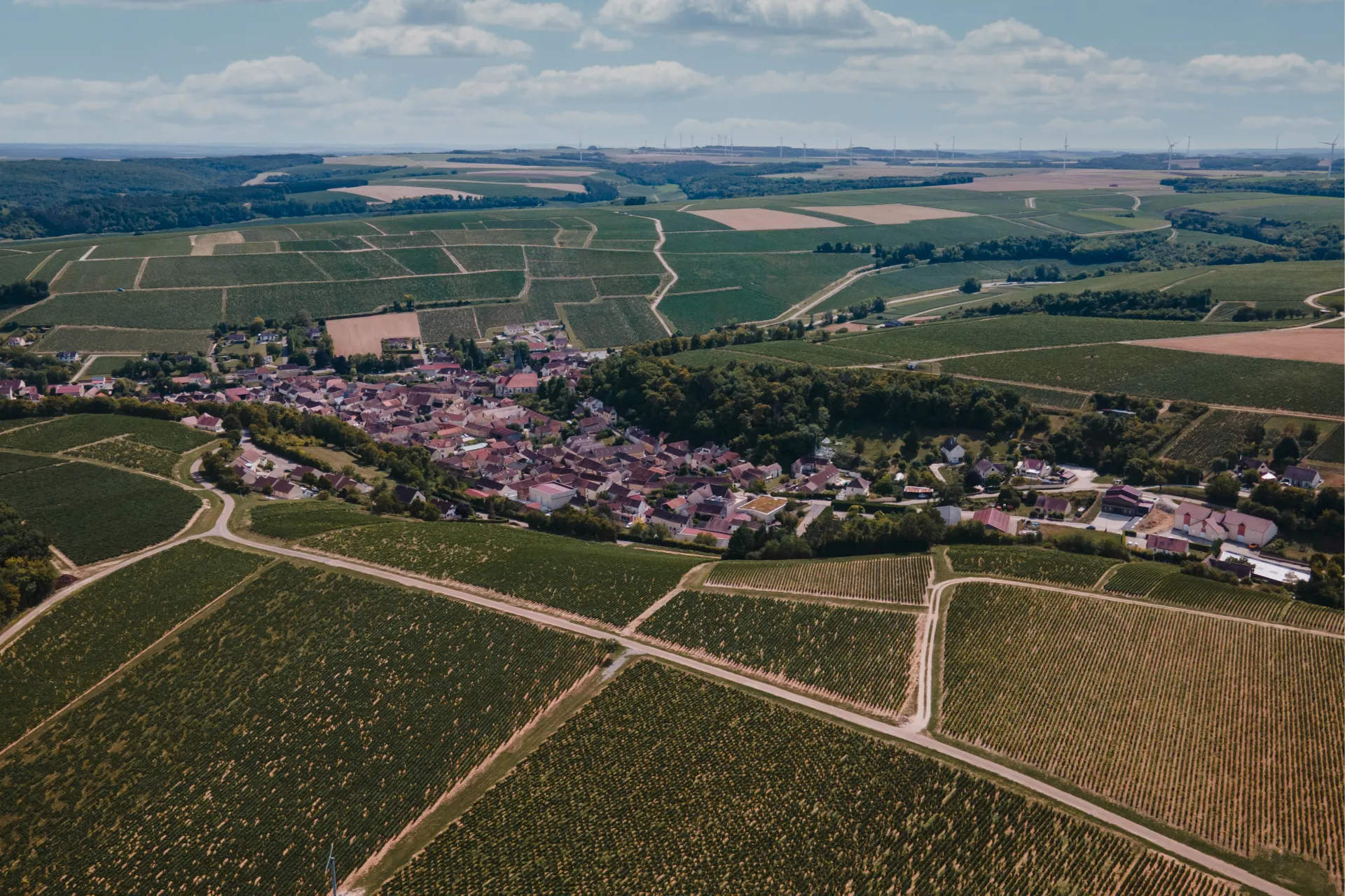 Vendanges au domaine