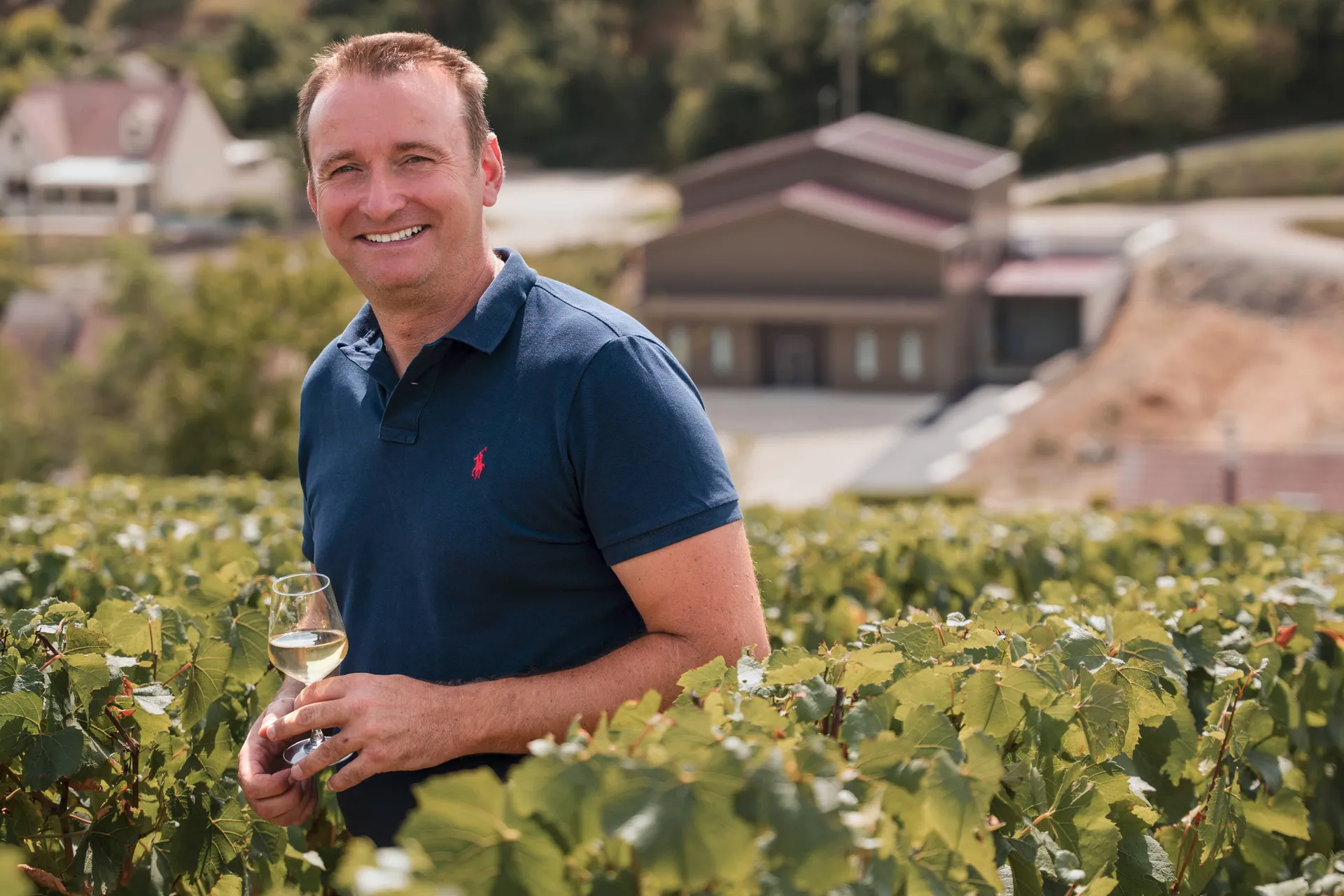 Vignoble du Domaine Charles Hugot à Beine, Chablis