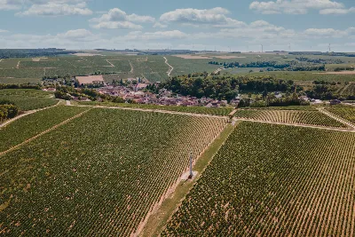 Terroir et parcelles du Domaine Charles Hugot